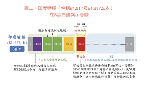 家長擔心校園防疫…張金堅教授談上學防疫8項指引_圖4