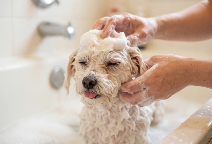 *