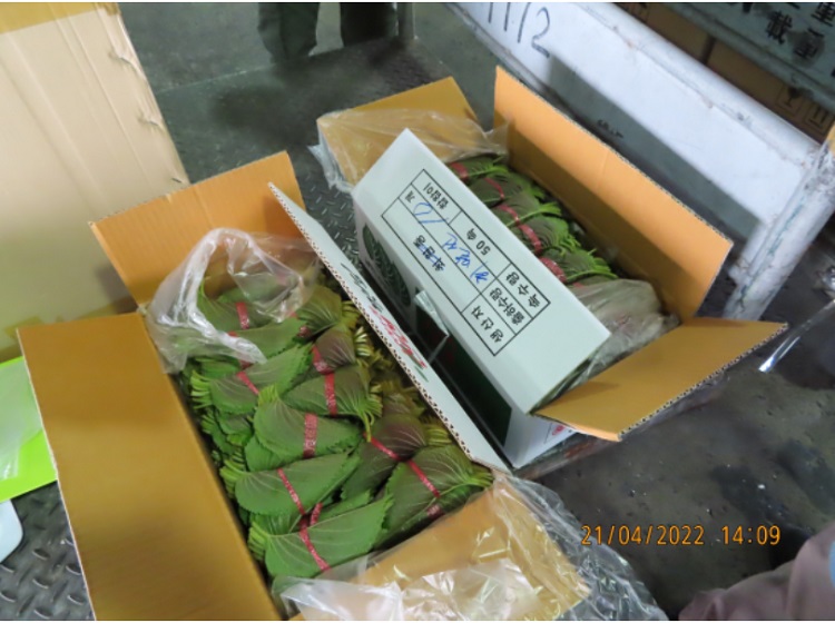 韓國「這口味辣雞麵」配料包農藥超標  1400公斤將退運或銷毀