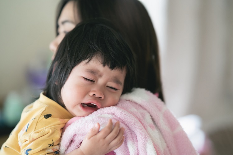 呼吸道融合病毒│感冒│發燒